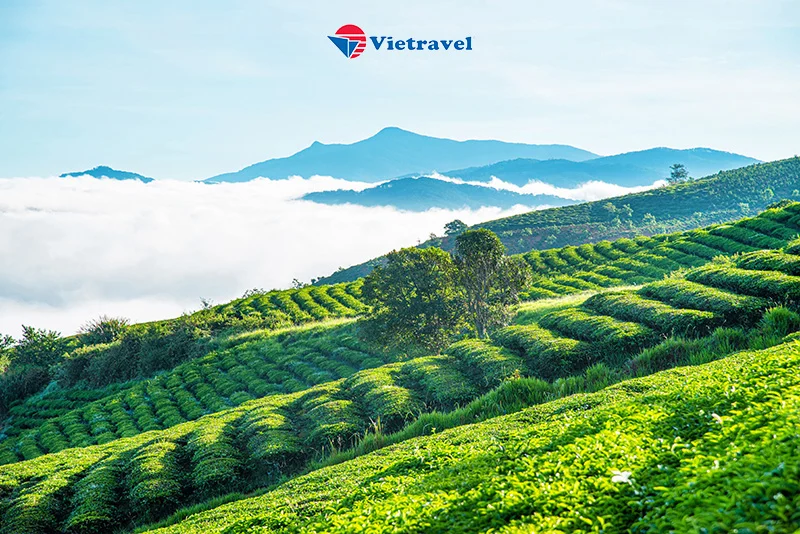Ảnh tour: Đà Lạt - Nha Trang