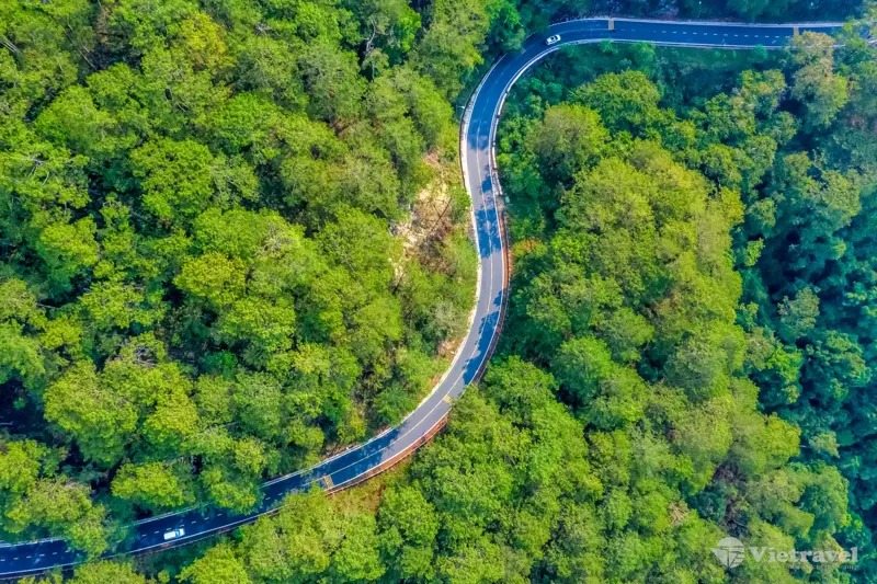 Thông tin của tour: Cần Thơ - Đà Lạt - Thác Datanla - Đồi Chè Cầu Đất – Ga Đà Lạt - Vườn Hoa Cẩm Tú Cầu –  Trang Trại Rau Và Hoa Vạn Thành 
