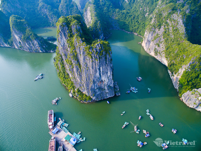 Ảnh tour: Thưởng thức bữa tối Fine-Dining giữa lòng kỳ quan cùng Paradise Delight Cruise