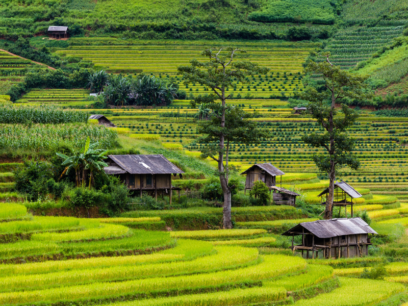 Thông tin của tour: Sa Pa - Nơi gặp gỡ đất trời