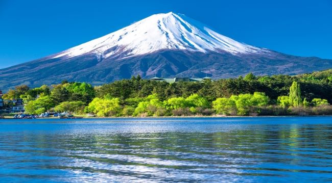 Ảnh tour: Nhật Bản: Osaka - Công viên Nara - Nagoya - Núi Phú Sĩ - Oshino Hakkai - Tokyo - Check in Shibuya - Đại lộ ngân hạnh Meiji Jingu Gaien (4 đêm khách sạn)