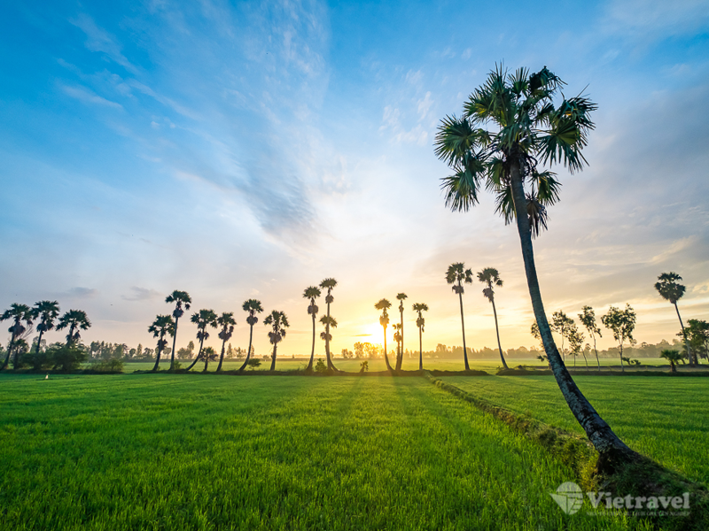 Ảnh tour: Caravan Khám phá An Giang| Thành phố Hồ Chí Minh - An Giang - Vùng đất huyền thoại Thất Sơn